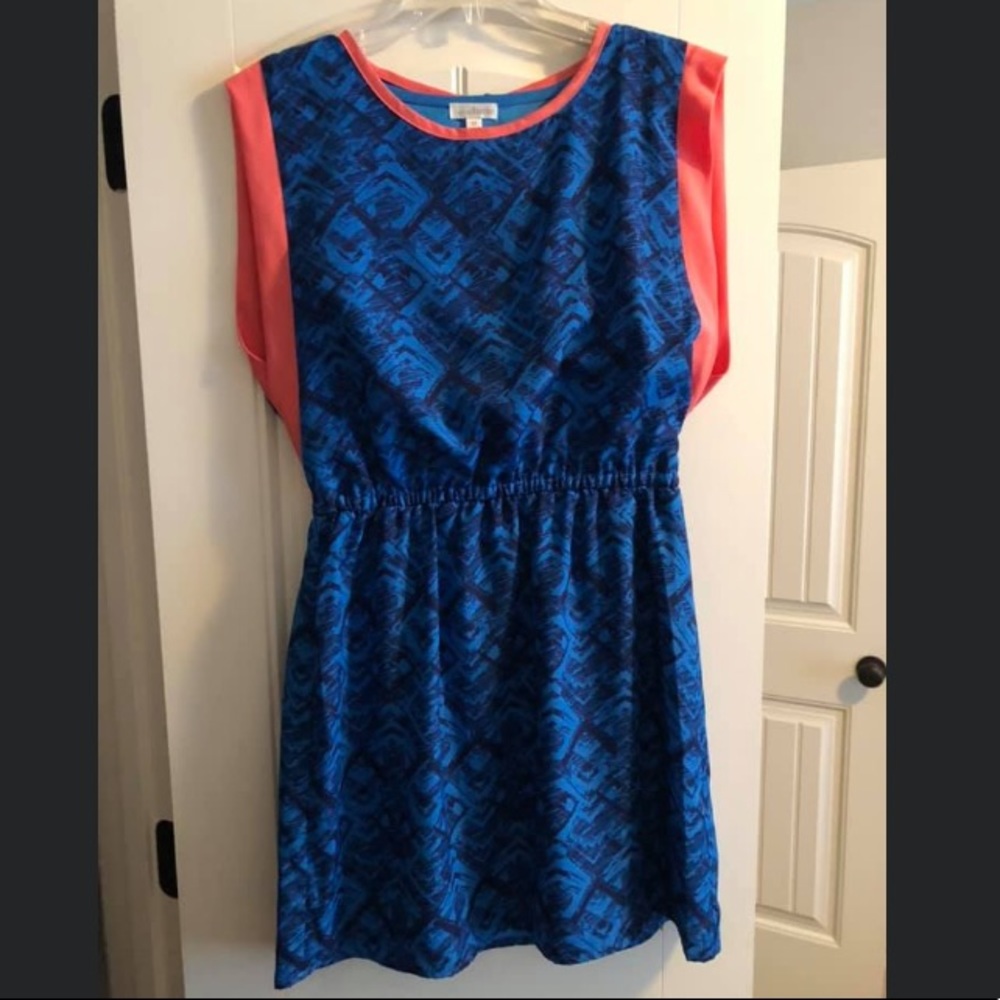 Charming Charlie’s Dress